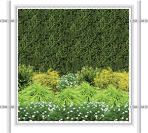 Green Hedge Wall Fence Screen 2049