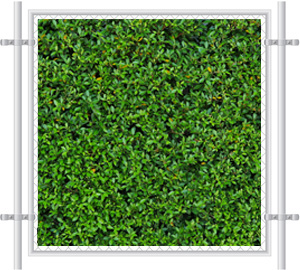 Green Grass Printed Mesh Fence Screen-2059