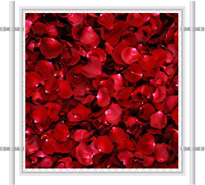 Red Roses Mesh Fence Screen 2062