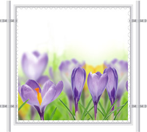 Purple Flowers Mesh Fence Screen 2064