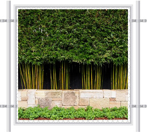 Green Hedge Fence Screen 2066