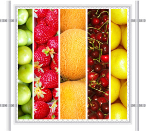 Mixed Fruits Printed Fence Screen 5001